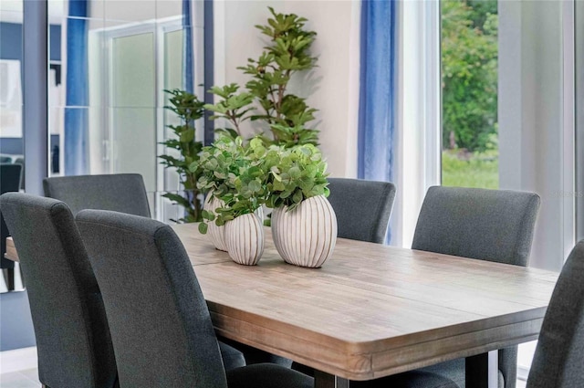 dining area with plenty of natural light