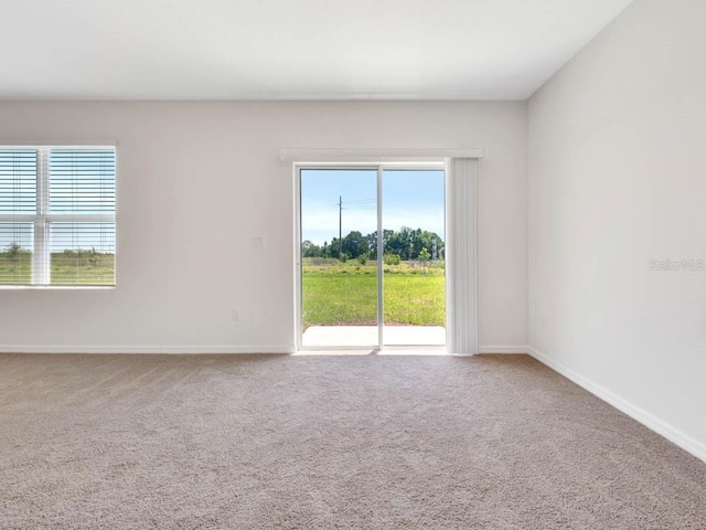 spare room featuring carpet floors