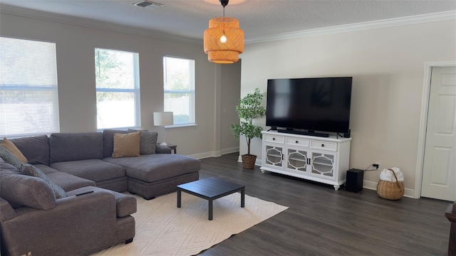 living room featuring a textured ceiling, crown molding, and dark hardwood / wood-style floors