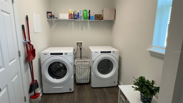 clothes washing area featuring independent washer and dryer and dark wood-type flooring