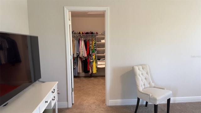 interior space with light carpet and a closet