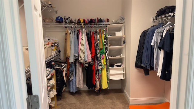 spacious closet featuring carpet flooring