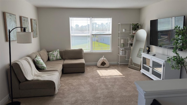 carpeted living room with plenty of natural light