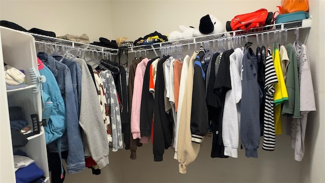 view of spacious closet