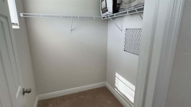 spacious closet featuring carpet