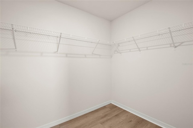 walk in closet with light wood-type flooring