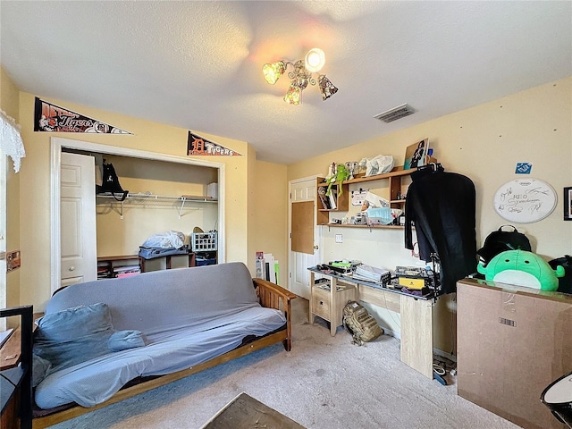 interior space featuring carpet and a textured ceiling