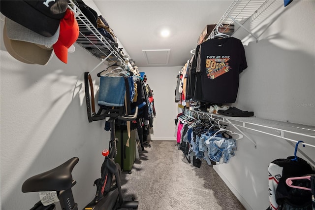 walk in closet with carpet