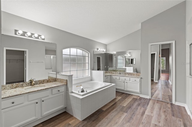 bathroom with vanity, wood-type flooring, a textured ceiling, and lofted ceiling