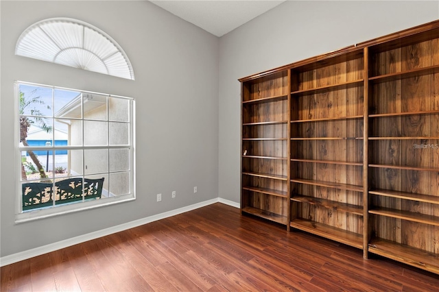 spare room with a healthy amount of sunlight and dark wood-type flooring