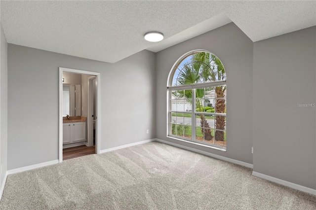 unfurnished room with carpet floors and a textured ceiling