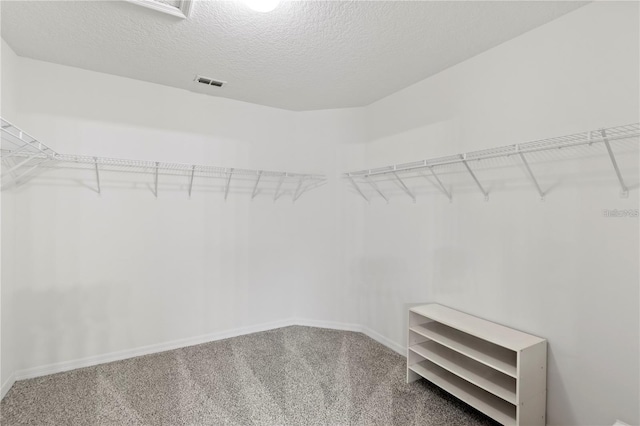 walk in closet featuring carpet flooring