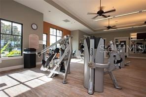 exercise room featuring hardwood / wood-style floors, a tray ceiling, a wealth of natural light, and ceiling fan