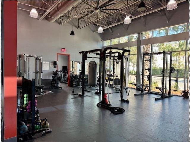 exercise room featuring a towering ceiling