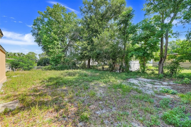 2341 Hadley St, Deltona, FL 32738 - view of yard