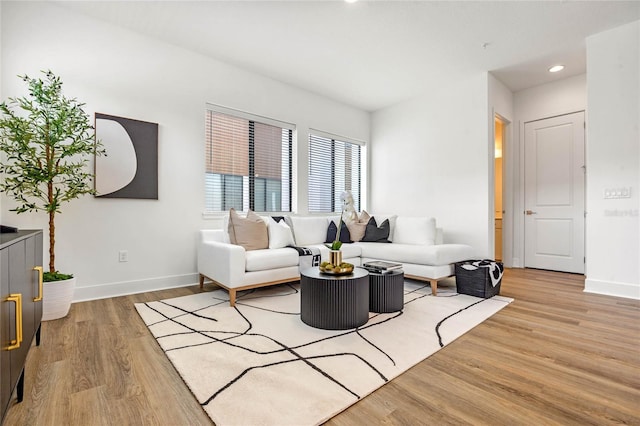 living room featuring hardwood / wood-style floors