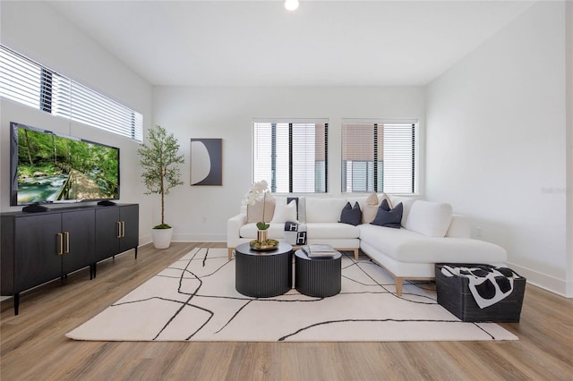 living room featuring hardwood / wood-style flooring and a wealth of natural light