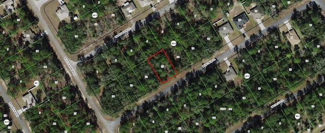 245 W Ruska Pl, Citrus Springs FL, 34434 land for sale