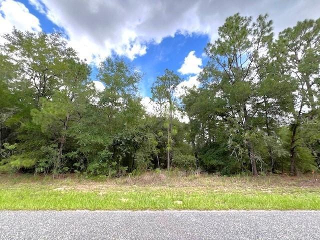 245 W Ruska Pl, Citrus Springs, FL 34434 - photo 3