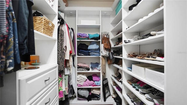 view of spacious closet