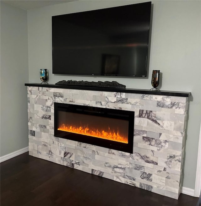 room details with wood-type flooring and a fireplace