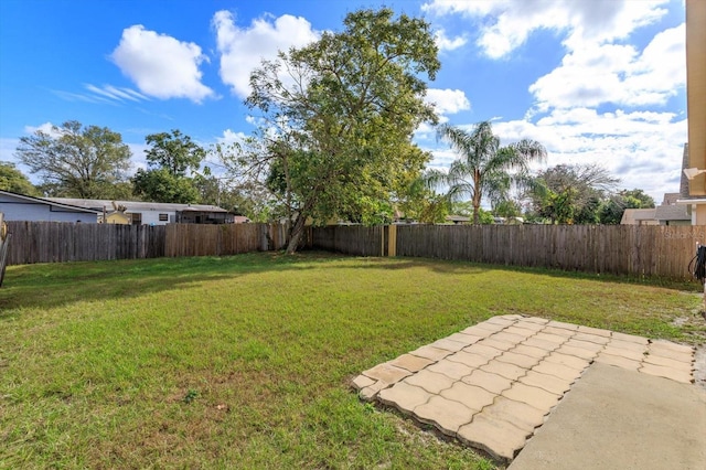 view of yard with a patio area