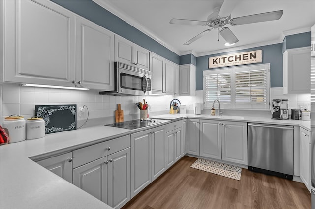 kitchen with white cabinetry, sink, stainless steel appliances, dark hardwood / wood-style flooring, and decorative backsplash