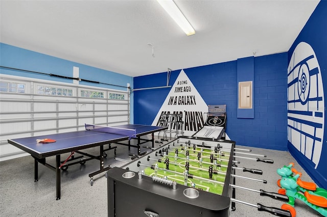 recreation room with electric panel