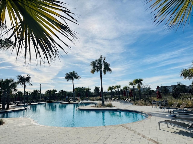 view of pool featuring a patio