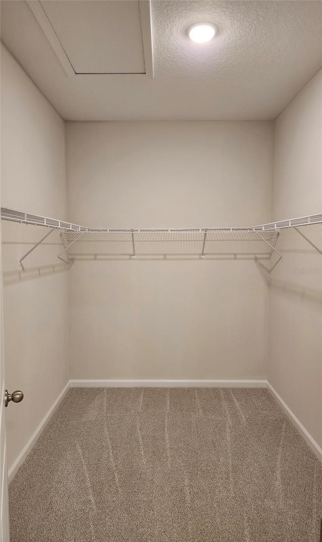 walk in closet featuring carpet