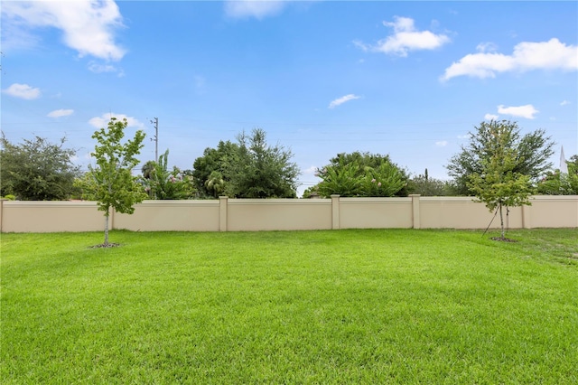 3509 Yarian Dr, Haines City, FL 33844 - photo 32