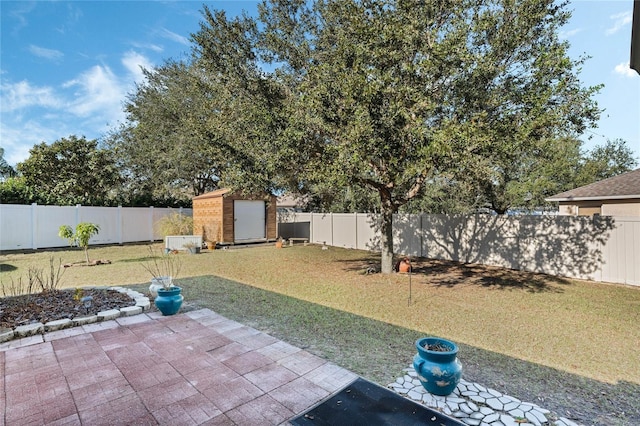 view of yard featuring a patio area and a shed