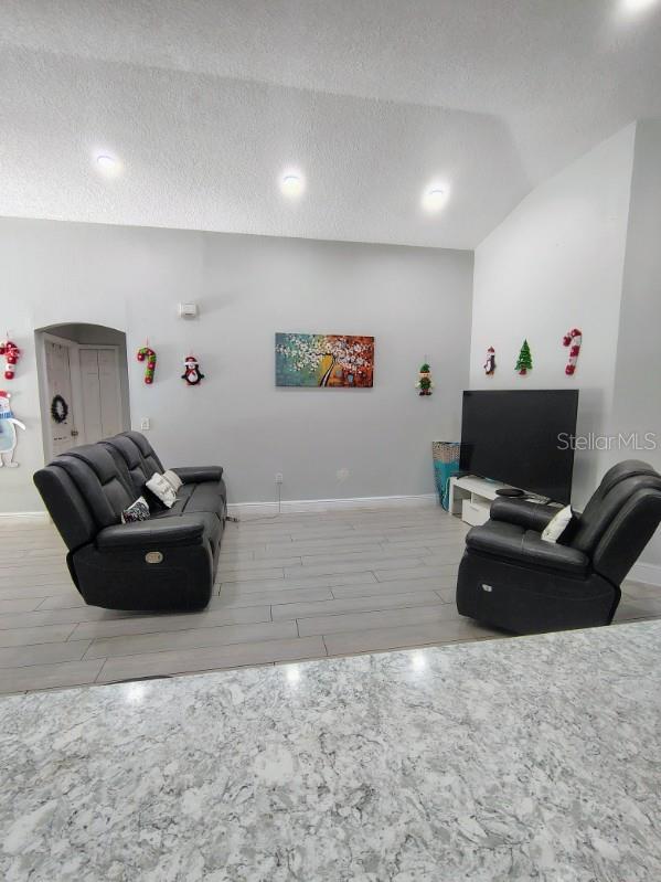 living room featuring a textured ceiling and vaulted ceiling