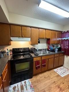 kitchen featuring black / electric stove, sink, and light wood-type flooring