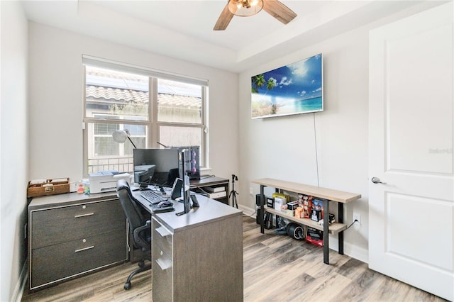 office with a tray ceiling, light hardwood / wood-style flooring, and ceiling fan