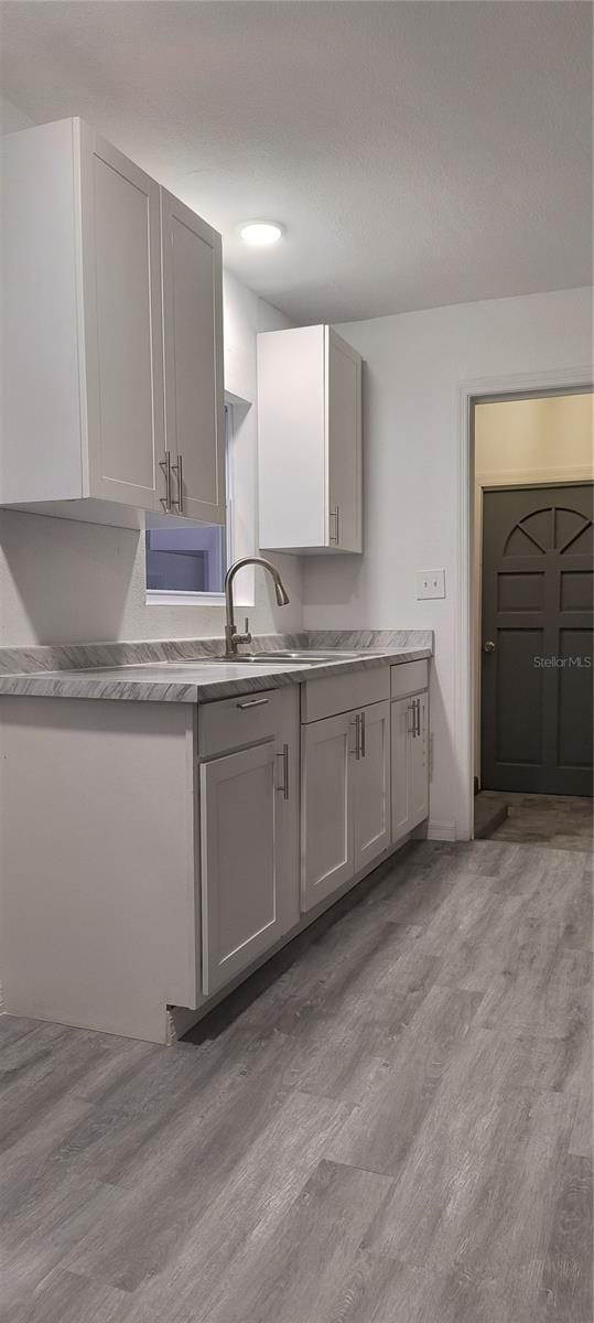 kitchen featuring gray cabinets, light hardwood / wood-style flooring, and sink