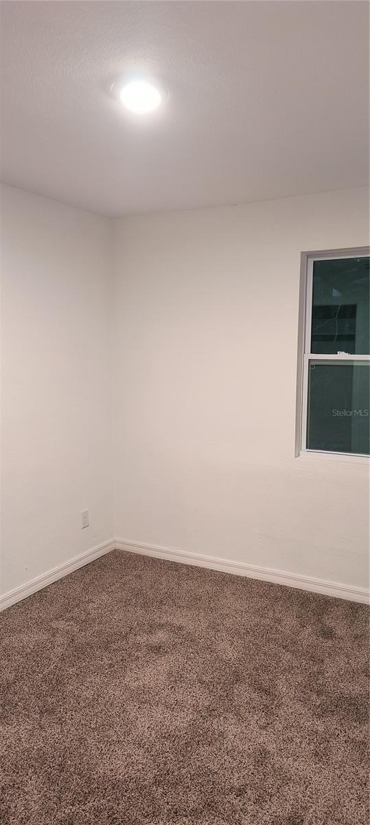 empty room featuring carpet floors