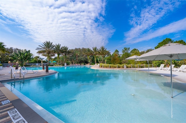 view of swimming pool with a patio