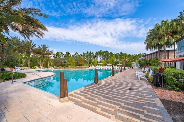 view of pool with a patio area