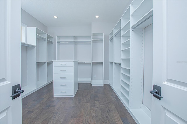 walk in closet with dark wood-style floors