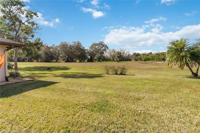 view of yard