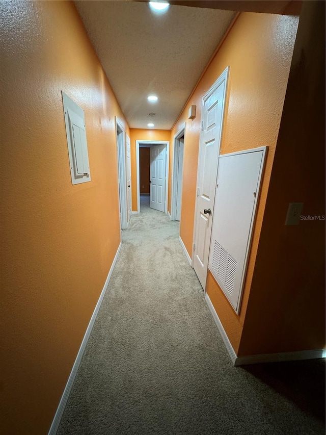 hallway featuring carpet floors