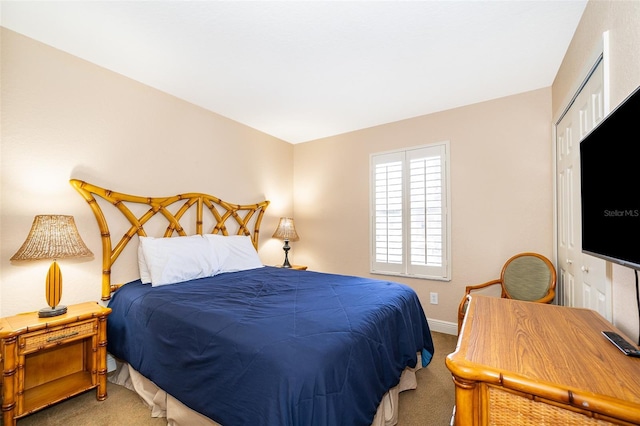 bedroom with a closet and carpet floors