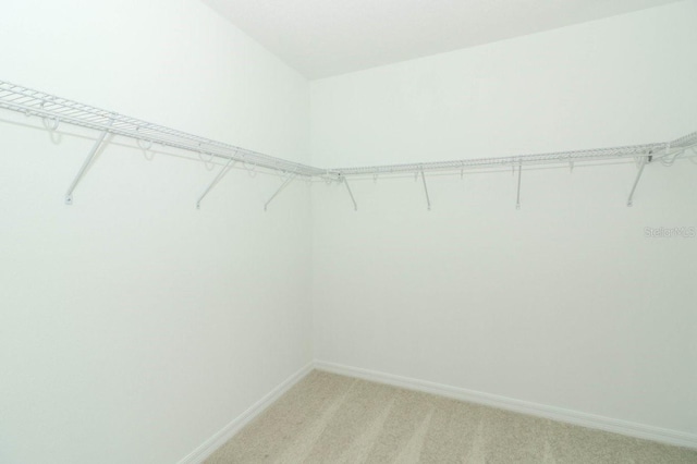 spacious closet featuring light colored carpet