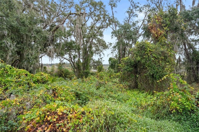 view of local wilderness with a water view