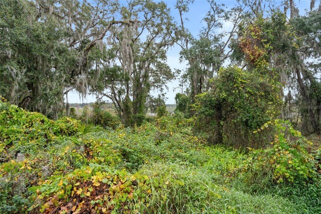 2806 Balforn Tower Way, Winter Garden, FL 34787 - view of wooded area