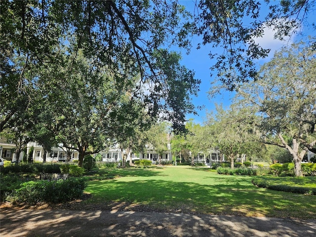 view of home's community with a yard