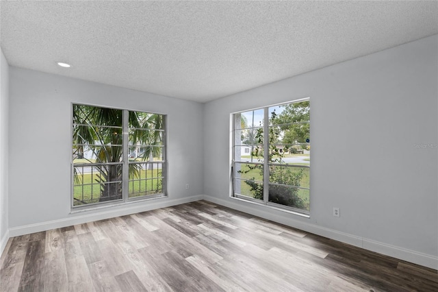 unfurnished room with a textured ceiling, light hardwood / wood-style flooring, and a wealth of natural light