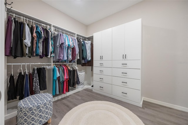 spacious closet featuring light hardwood / wood-style floors