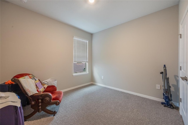 sitting room featuring carpet